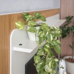 DETALHE---11-.jpg
